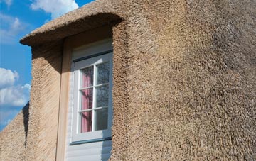 Skeeby thatch roof disadvantages